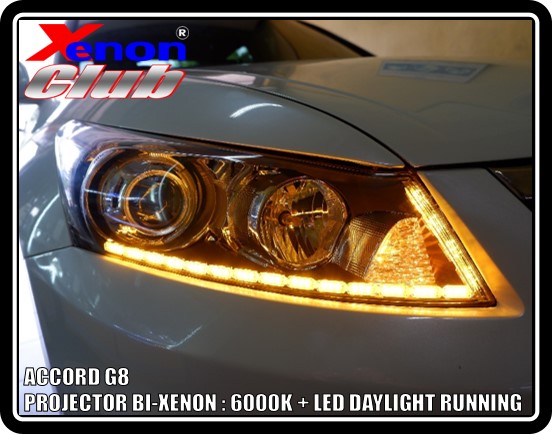 LED DAYLIGHT ACCORD G8